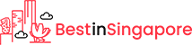 Web Design Singapore Best in Singapore Logo